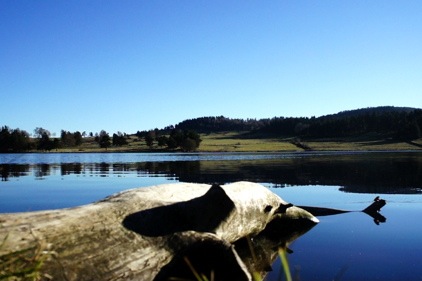 lac